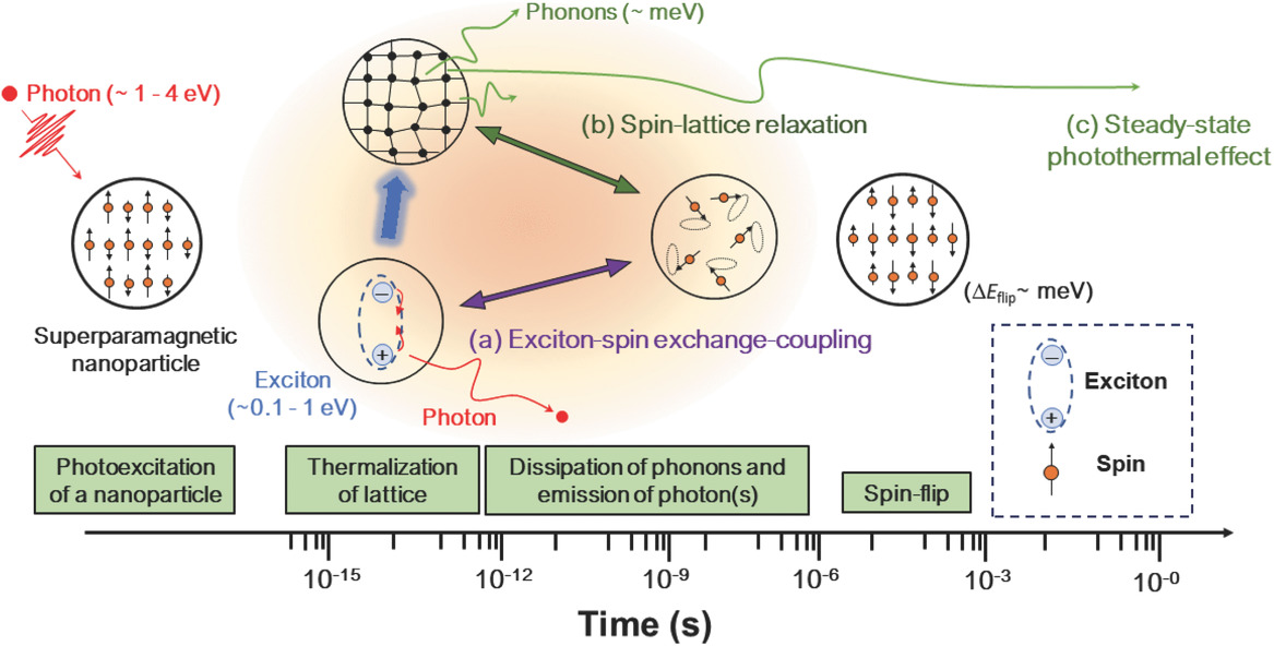 Figure depicting the photo-activated paramagnetism of iron oxide nanoparticles